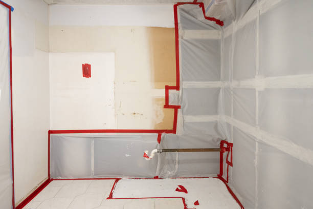 Environmental Consulting for Mold Prevention in North Syracuse, NY