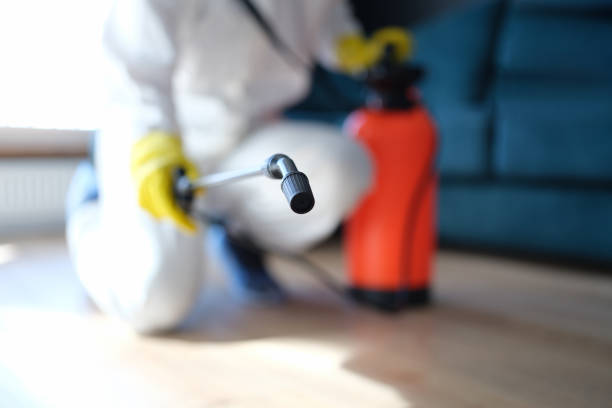 Best Airborne Mold Testing  in North Syracuse, NY