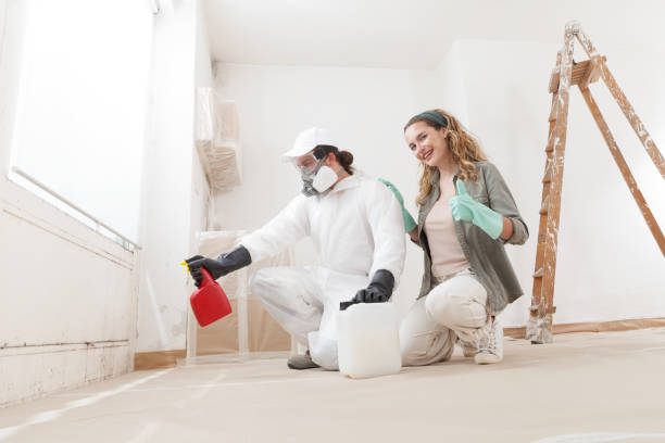 Best Mold Odor Removal Services  in North Syracuse, NY